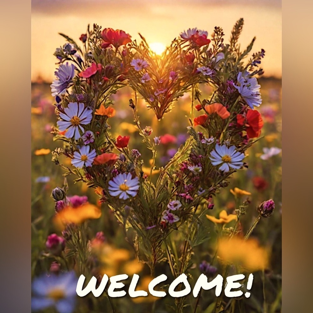 🐞 WELCOME  FRIENDS! 🐞